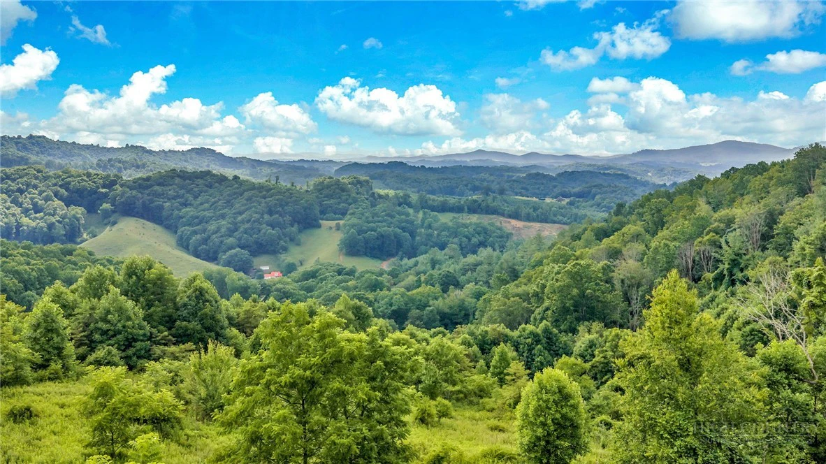 Image number 7 for the current listing