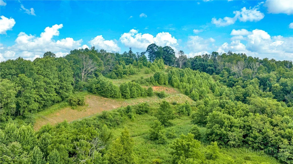 Image number 6 for the current listing