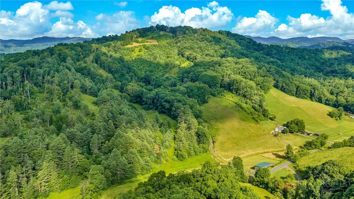 Image number 3 for the current listing