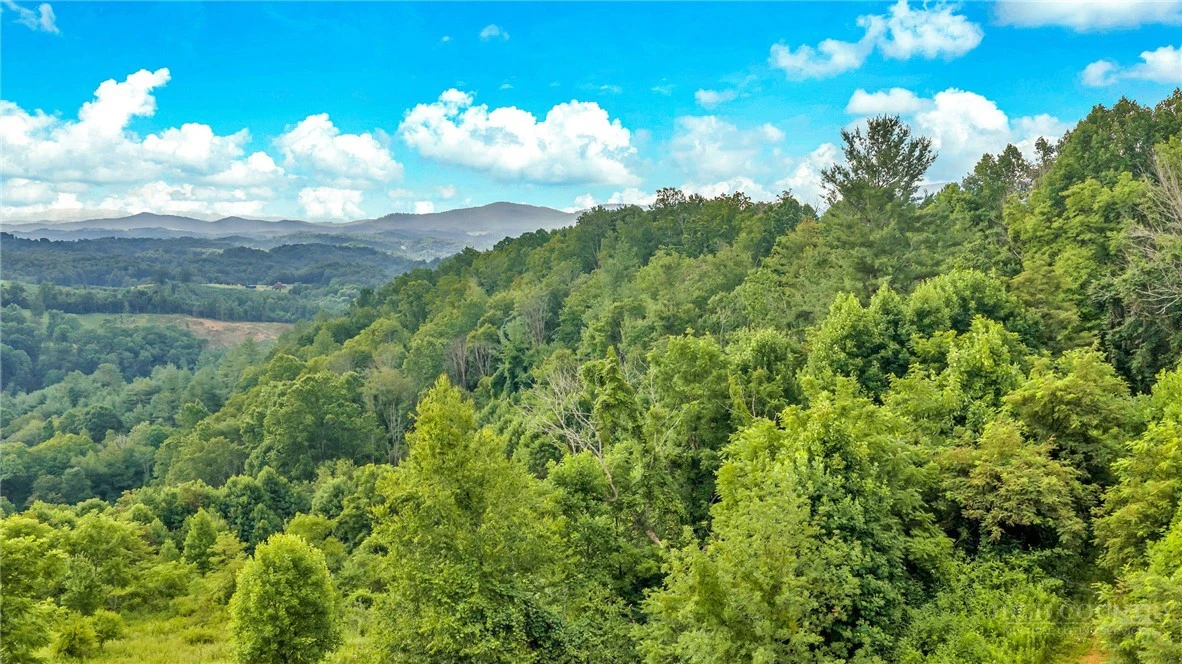 Image number 13 for the current listing