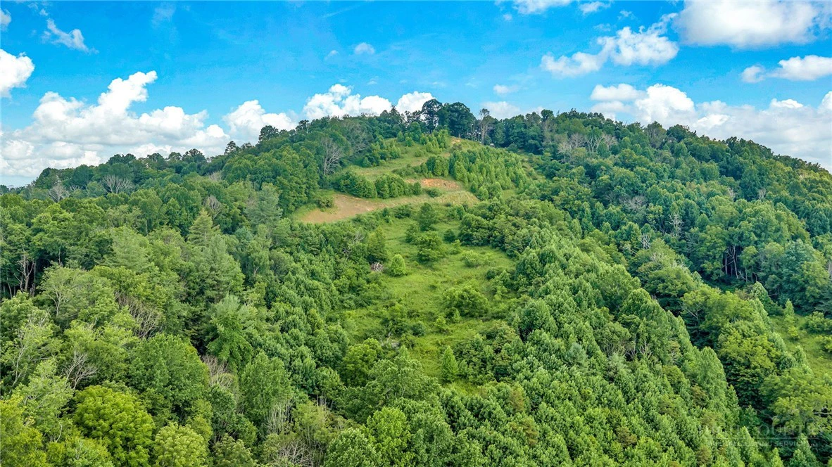 Image number 14 for the current listing