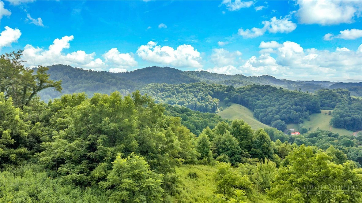 Image number 15 for the current listing