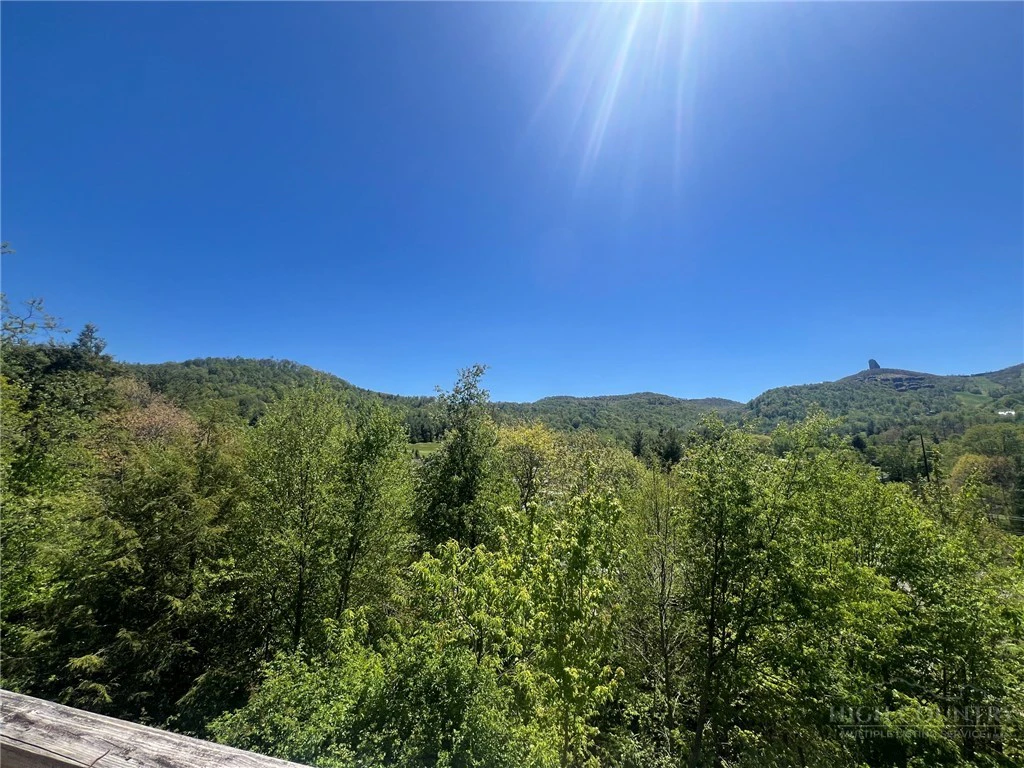 Image number 3 for the current listing