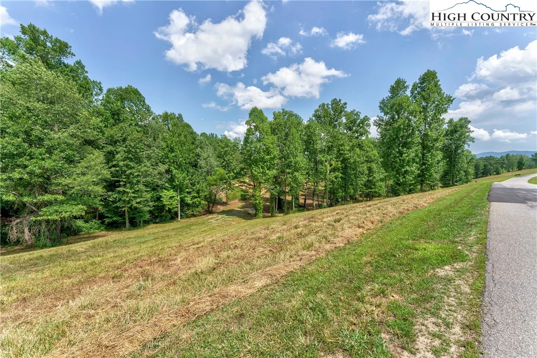 Image number 11 for the current listing
