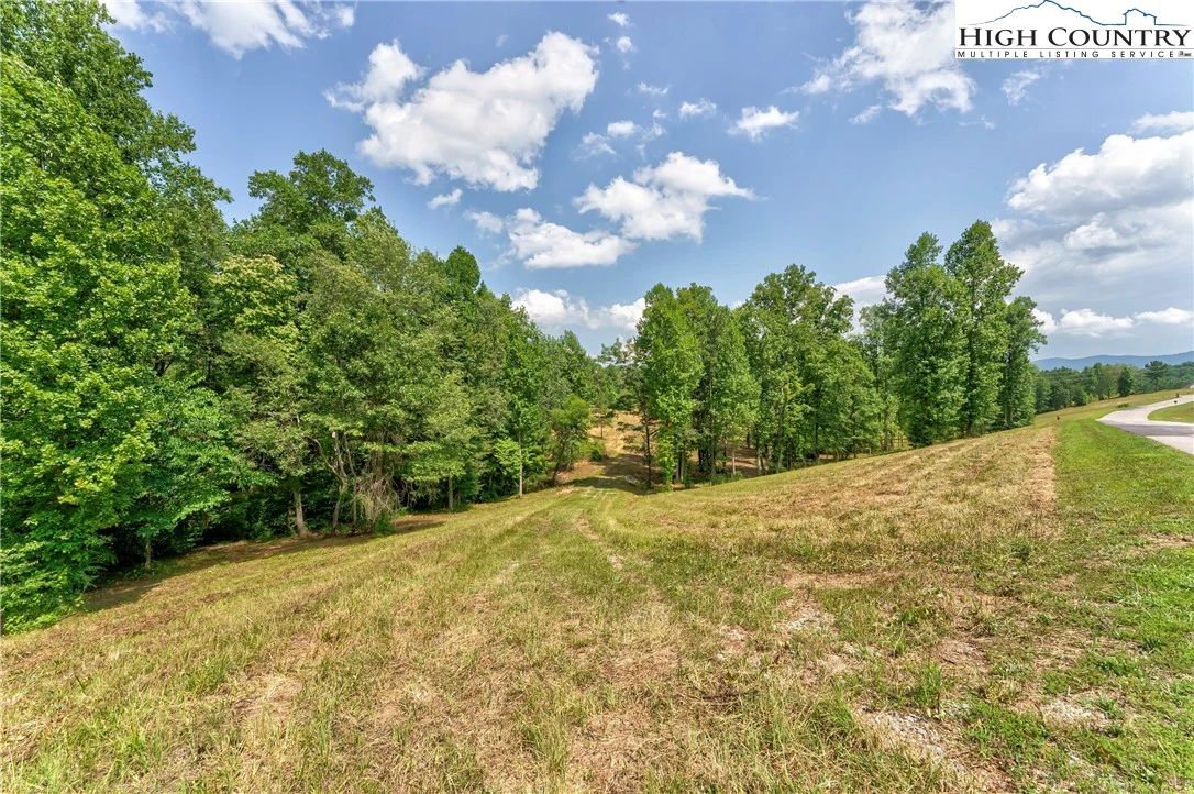 Image number 2 for the current listing