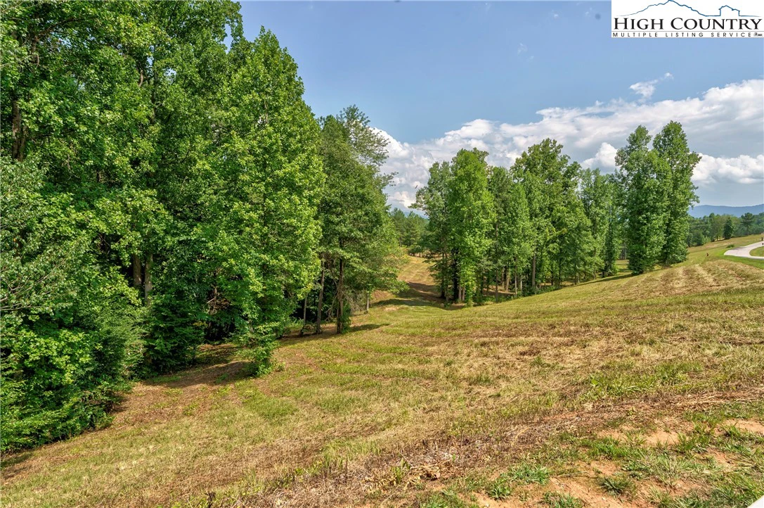 Image number 9 for the current listing