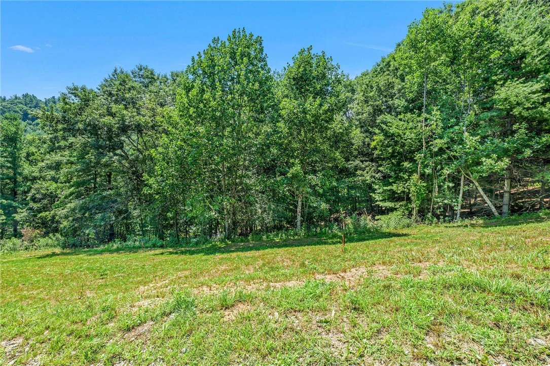 Image number 17 for the current listing