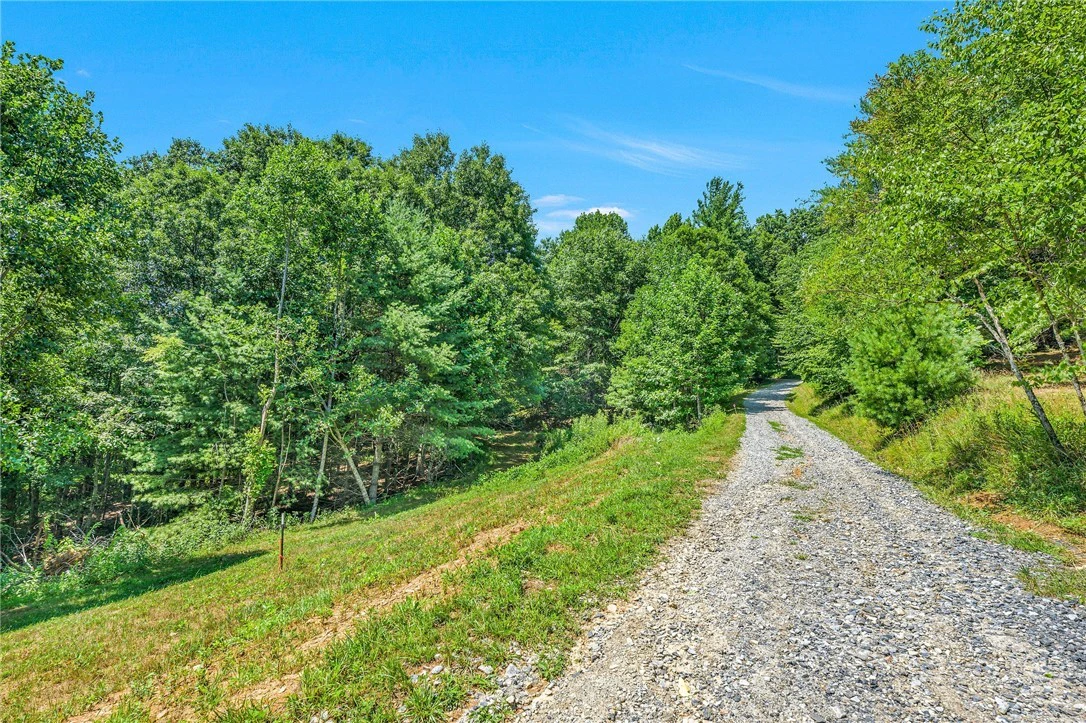 Image number 18 for the current listing