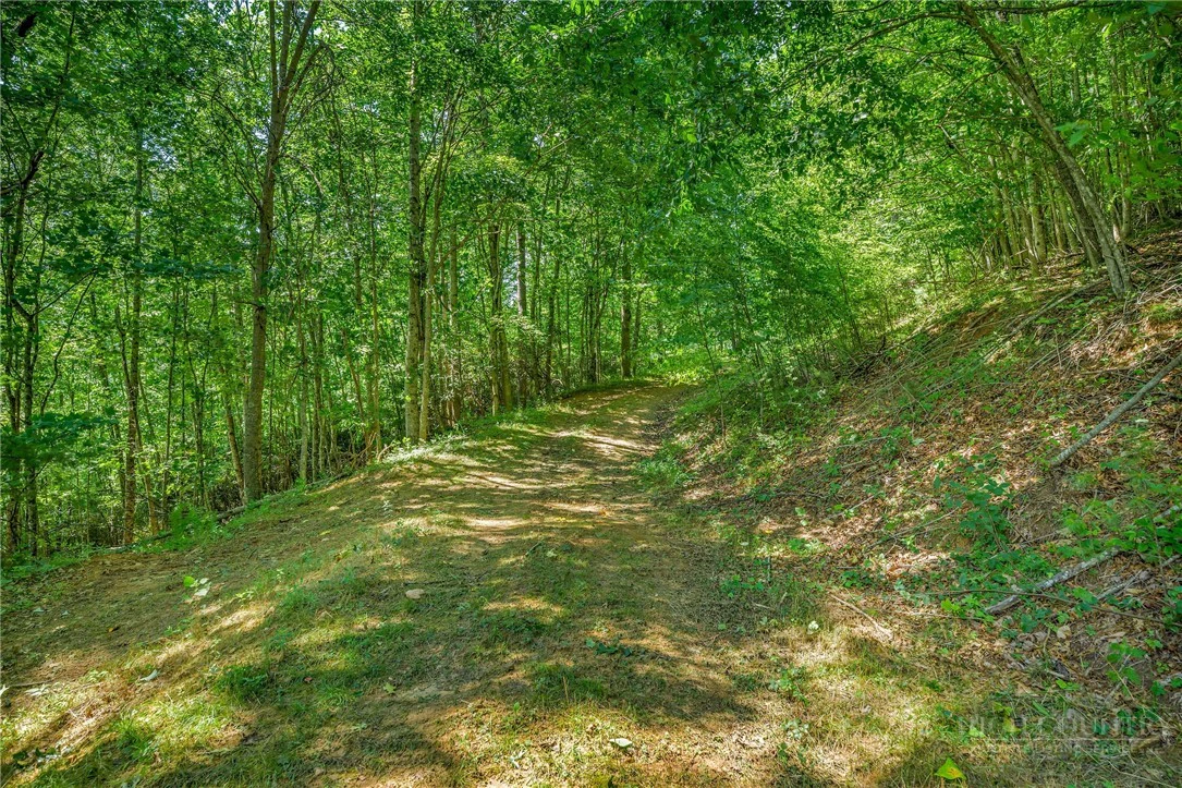 Image number 19 for the current listing