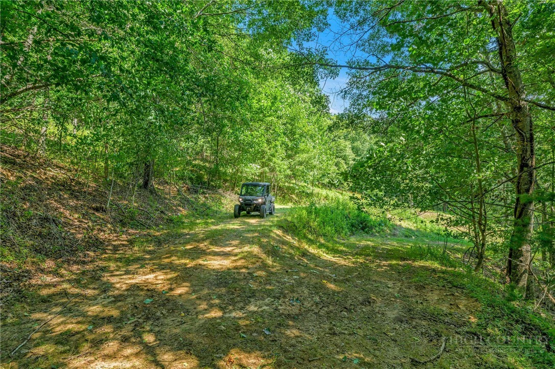 Image number 20 for the current listing