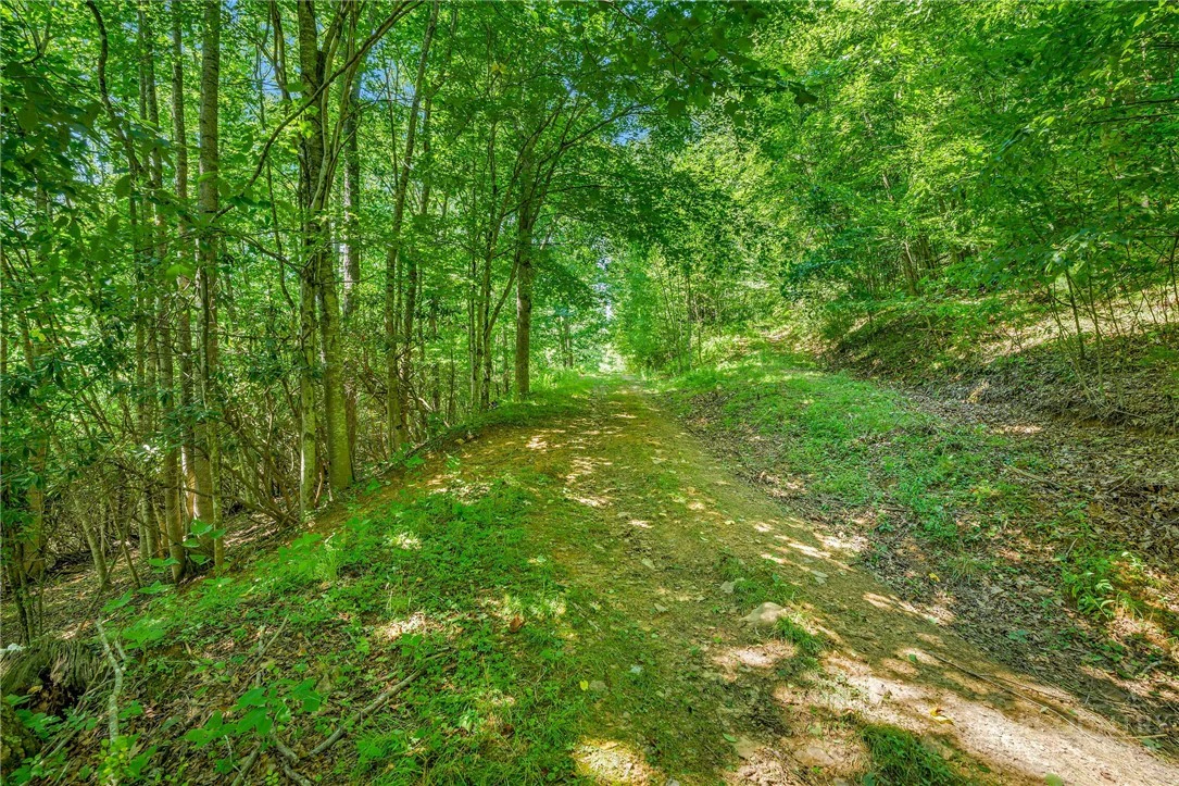 Image number 21 for the current listing