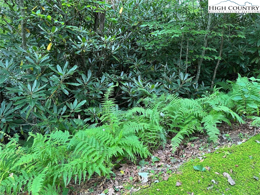 Image number 7 for the current listing
