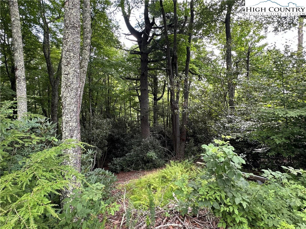 Image number 11 for the current listing