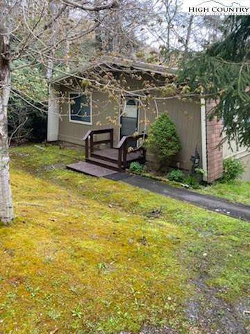 Image number 1 for the current listing