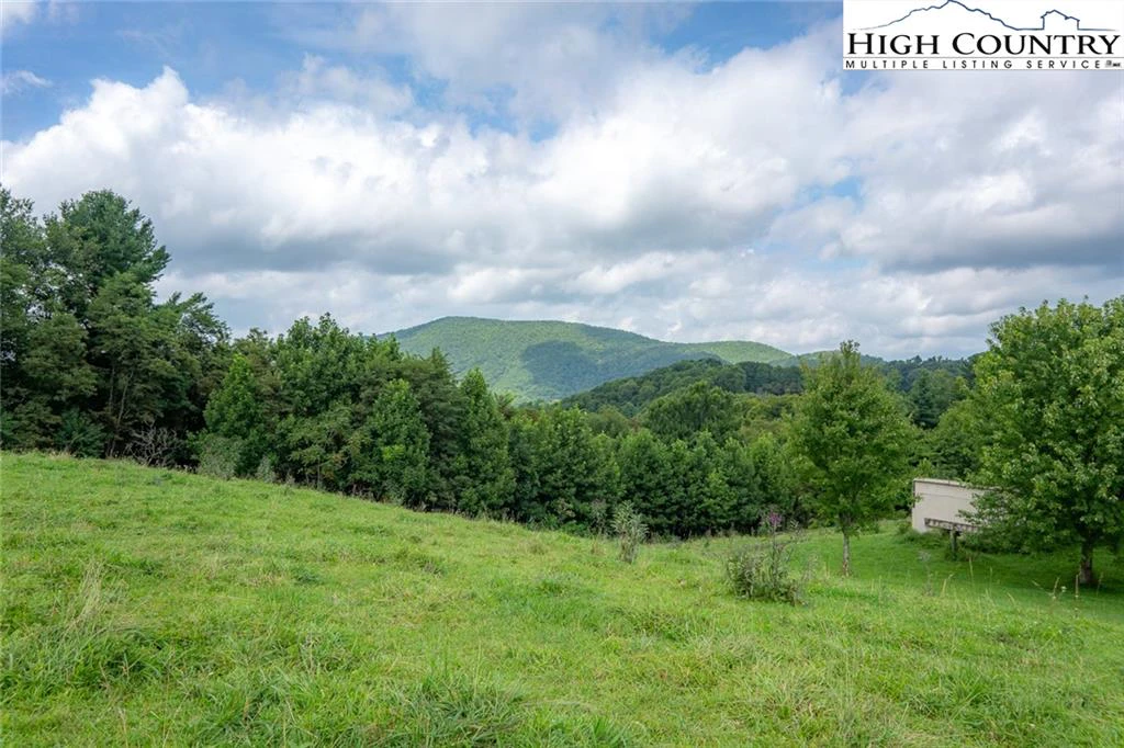 Image number 1 for the current listing