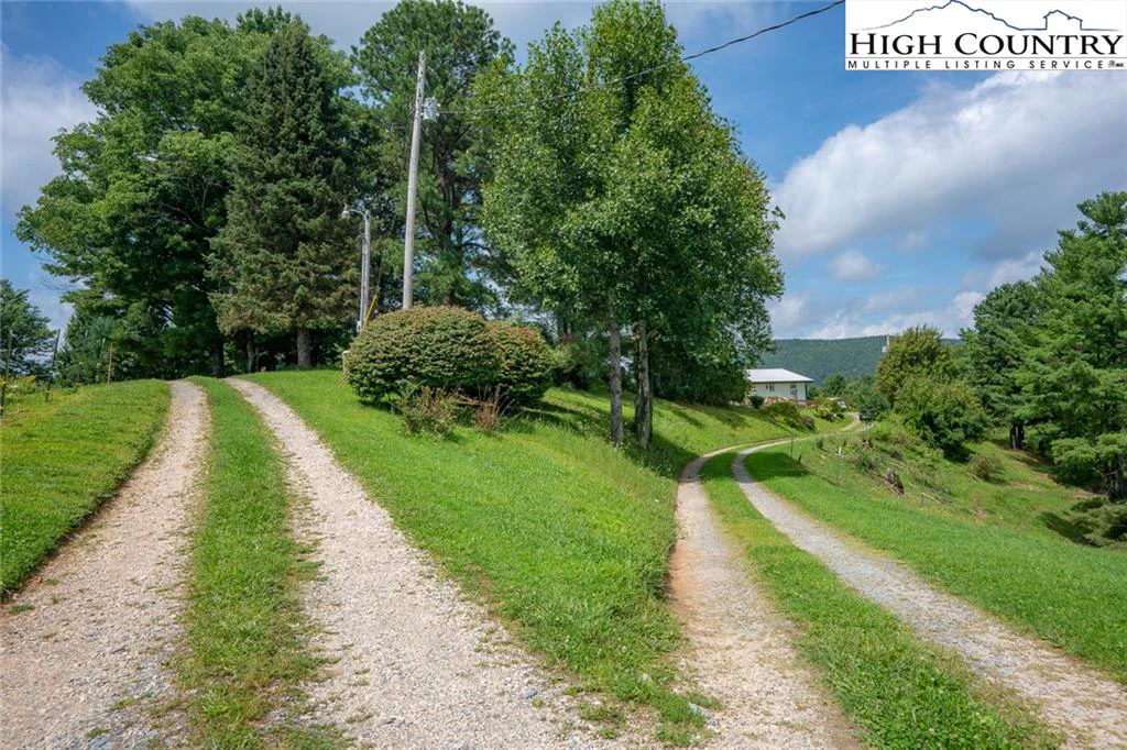 Image number 11 for the current listing
