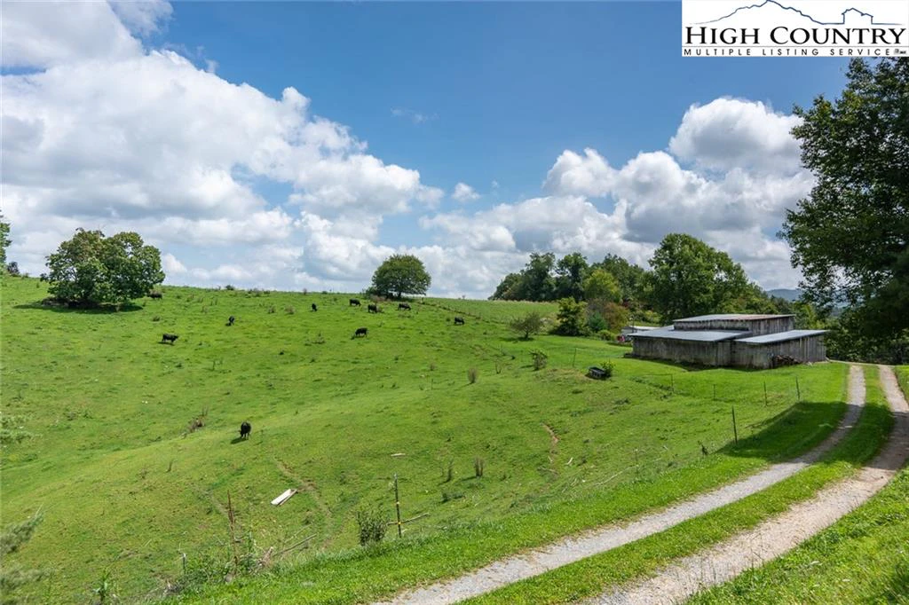 Image number 16 for the current listing