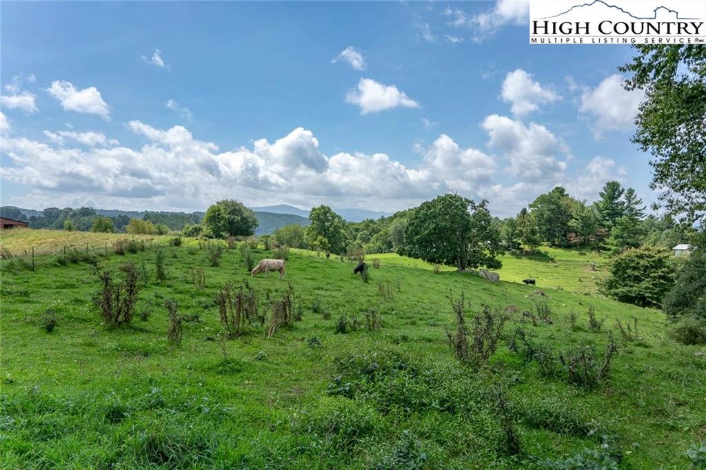 Image number 17 for the current listing