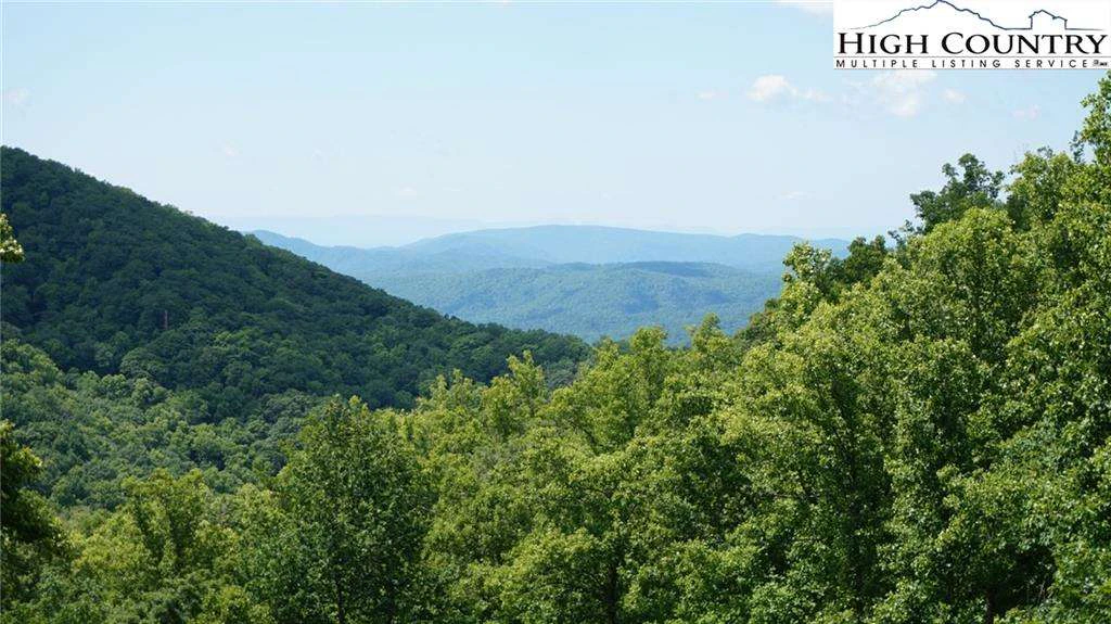 Image number 4 for the current listing