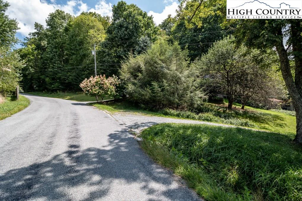 Image number 12 for the current listing