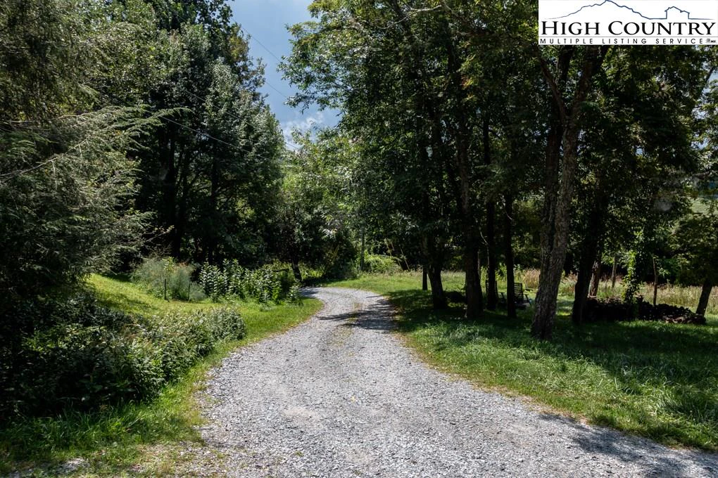 Image number 2 for the current listing