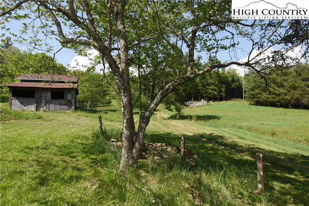 Image number 1 for the current listing