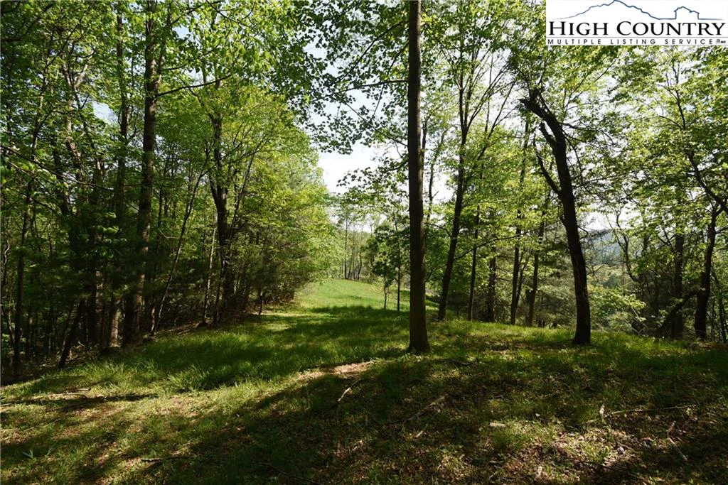Image number 20 for the current listing