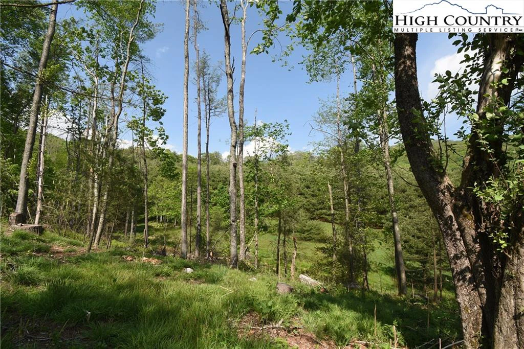 Image number 19 for the current listing