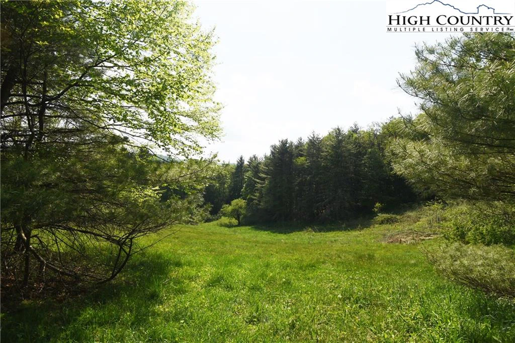 Image number 16 for the current listing