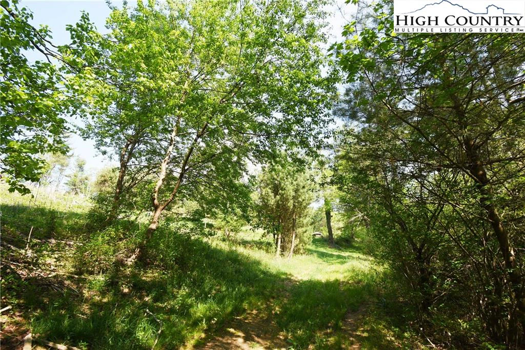 Image number 15 for the current listing
