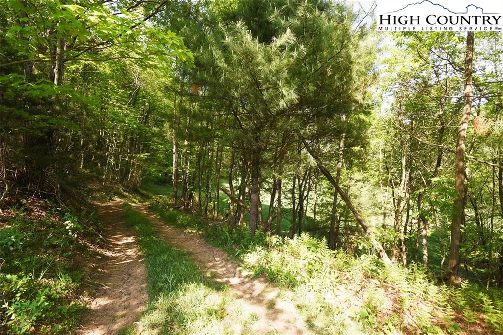 Image number 14 for the current listing