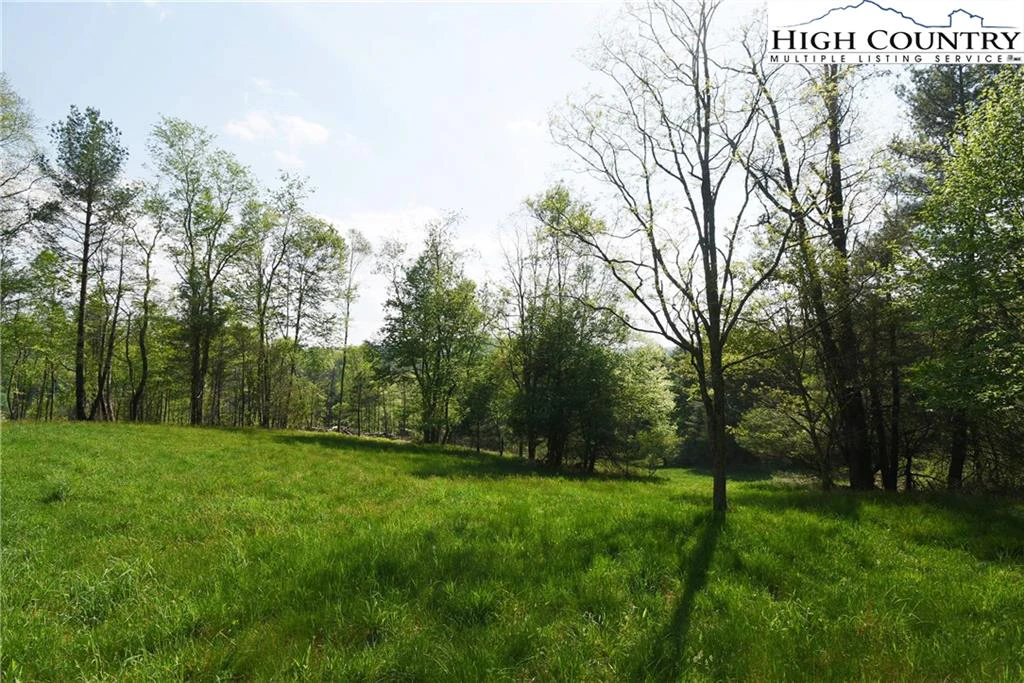 Image number 13 for the current listing