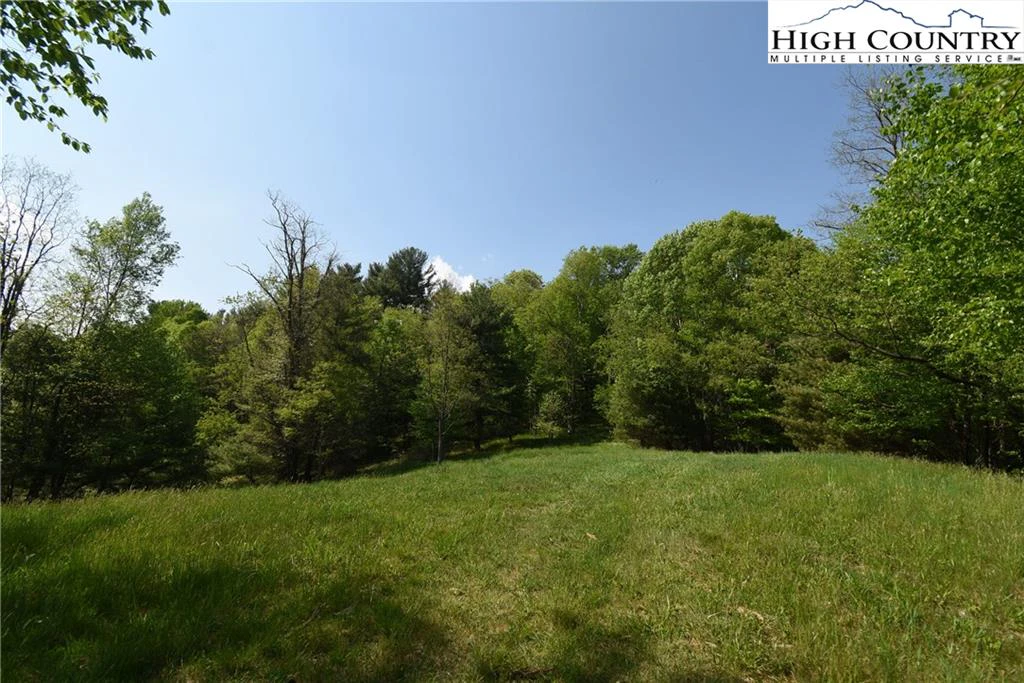 Image number 12 for the current listing
