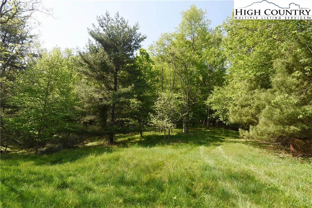 Image number 11 for the current listing
