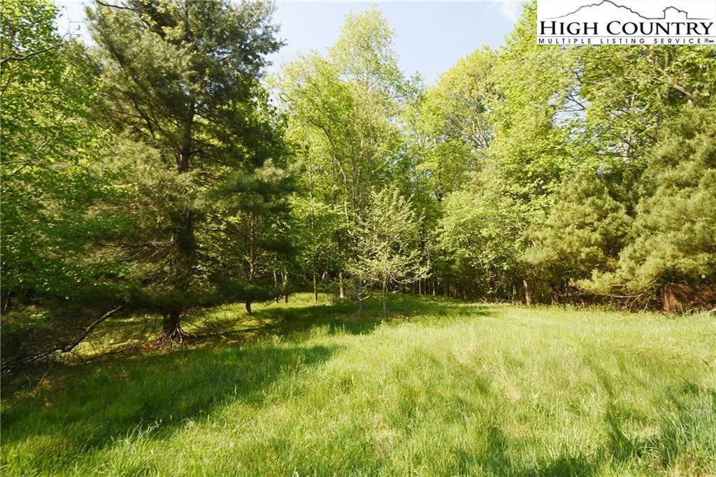 Image number 10 for the current listing