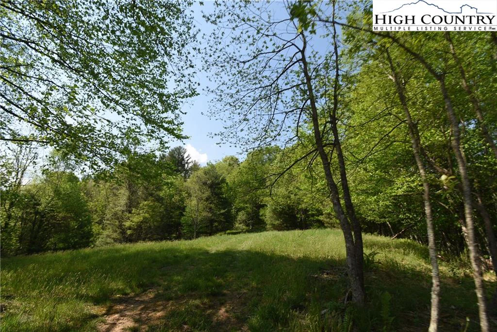 Image number 8 for the current listing