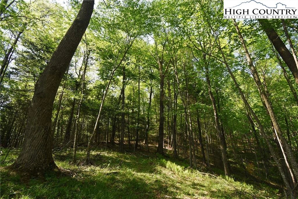 Image number 6 for the current listing