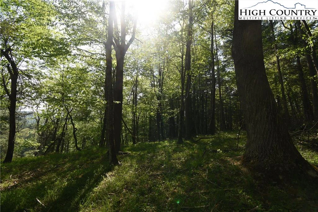 Image number 5 for the current listing