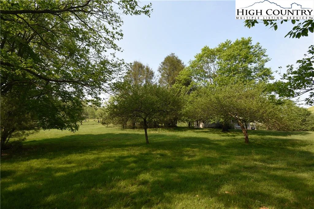Image number 4 for the current listing