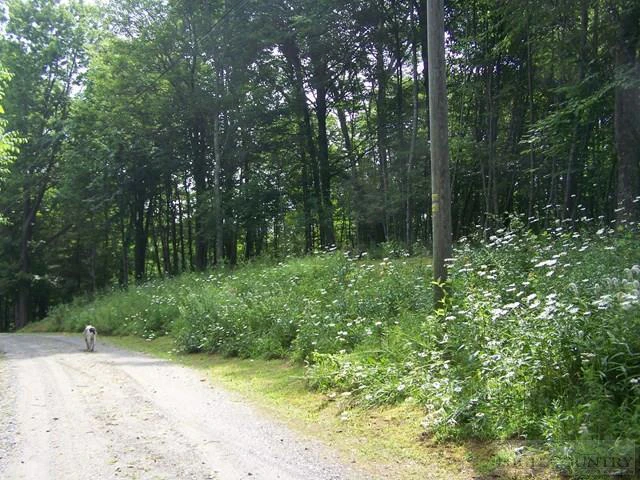 Image number 22 for the current listing