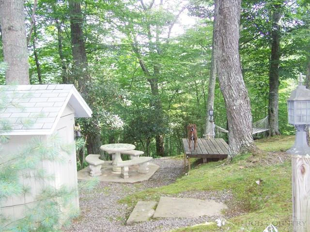 Image number 4 for the current listing