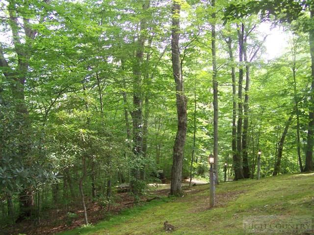 Image number 7 for the current listing