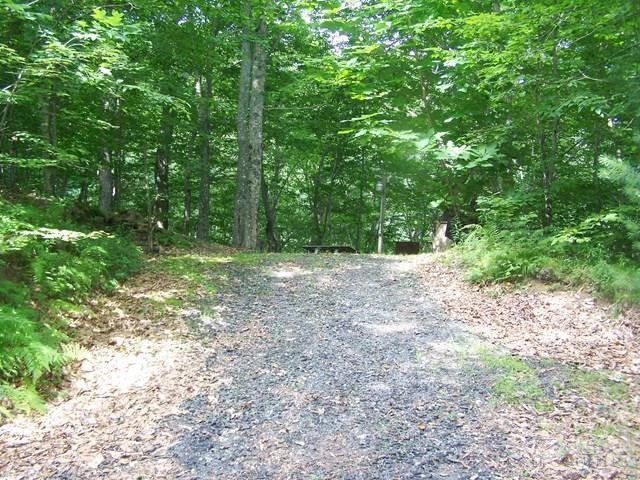 Image number 8 for the current listing