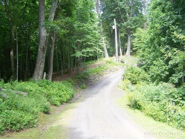 Image number 2 for the current listing