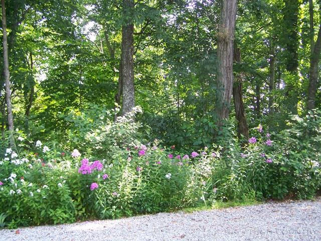 Image number 12 for the current listing