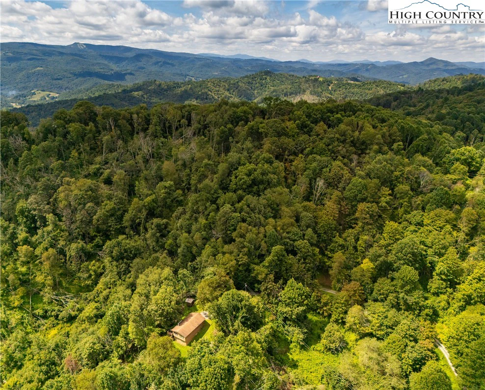 Image number 2 for the current listing