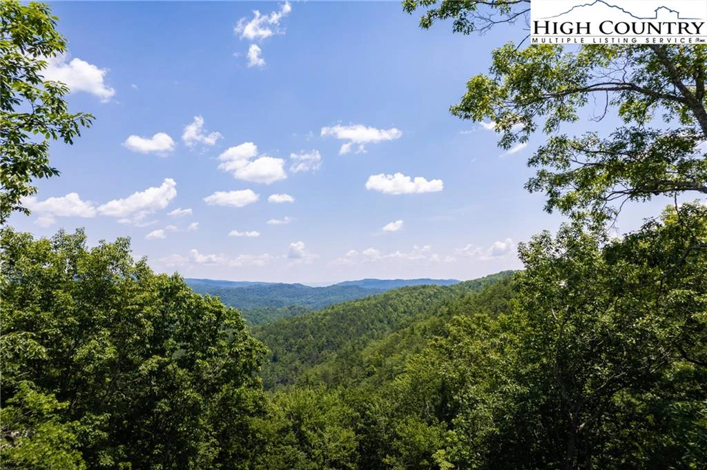 Image number 1 for the current listing
