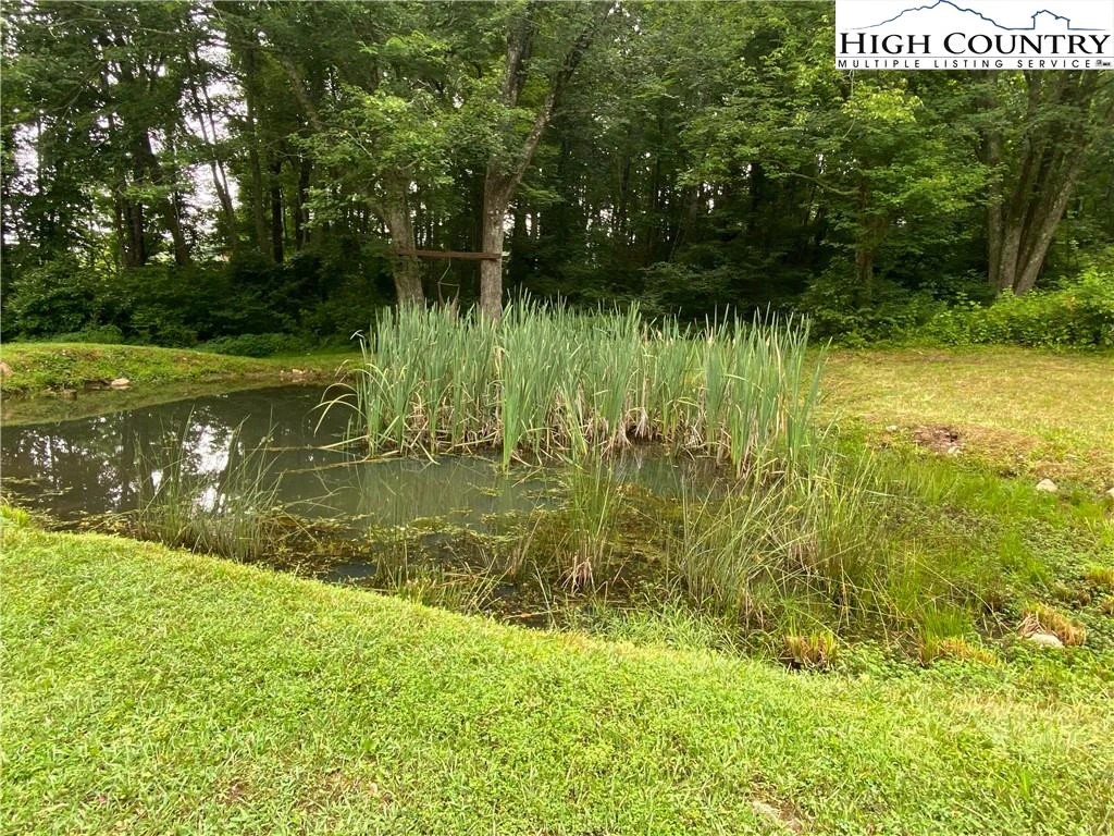 Image number 11 for the current listing