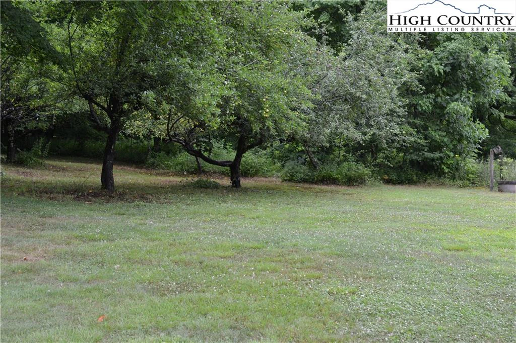Image number 6 for the current listing