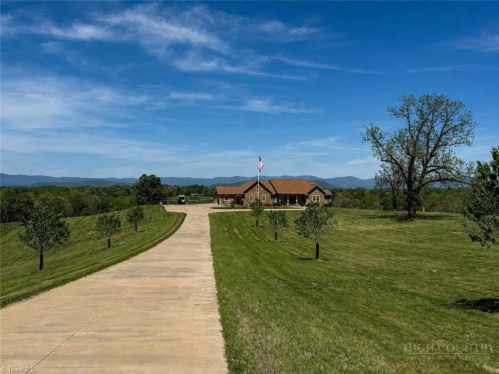Image number 4 for the current listing